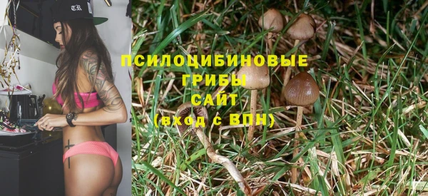 гидра Армянск