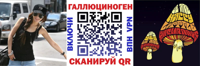 OMG вход  Пролетарск  Псилоцибиновые грибы мицелий 